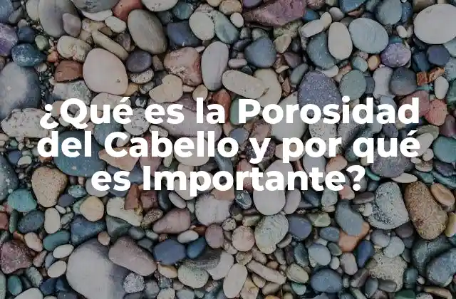 ¿qué es la Porosidad Del Cabello y por Qué es Importante?