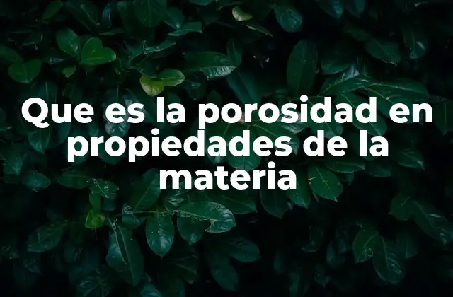 Que es la Porosidad en Propiedades de la Materia