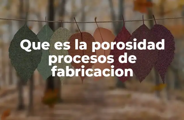 Que es la Porosidad Procesos de Fabricacion