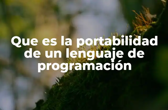 Que es la Portabilidad de un Lenguaje de Programación