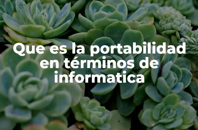 Que es la Portabilidad en Términos de Informatica