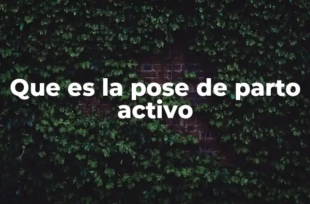 Que es la Pose de Parto Activo 2 Cómo se diferencia el parto activo de los partos tradicionales