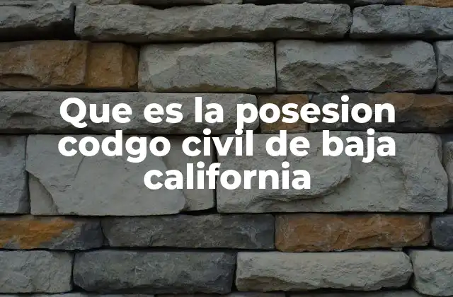 Que es la Posesion Codgo Civil de Baja California