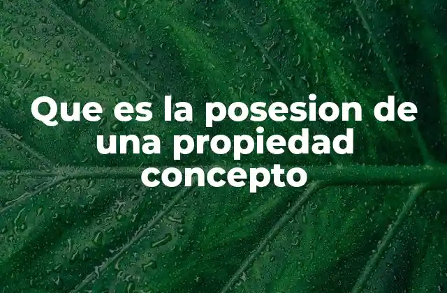Que es la Posesion de una Propiedad Concepto