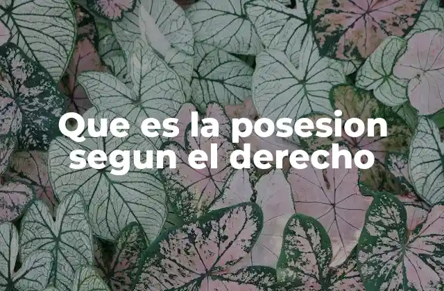 Que es la Posesion Segun el Derecho