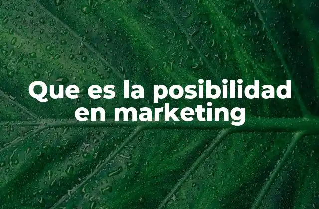Que es la Posibilidad en Marketing