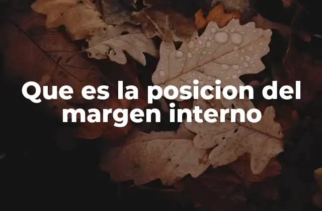 Que es la Posicion Del Margen Interno