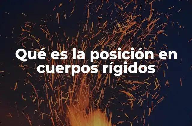 Qué es la Posición en Cuerpos Rígidos
