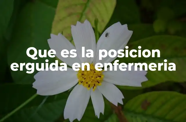 Que es la Posicion Erguida en Enfermeria