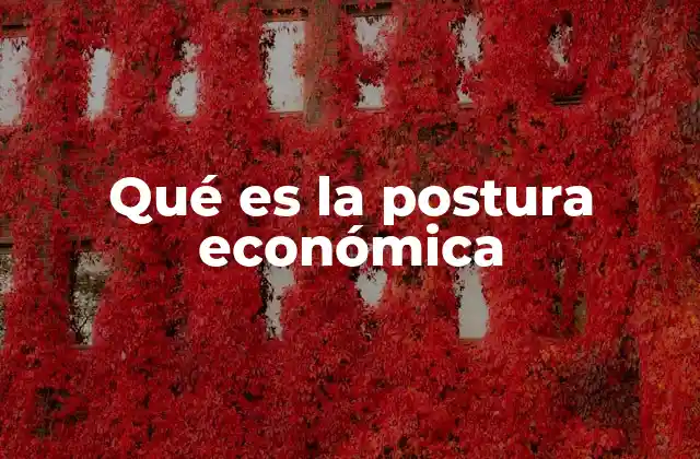 Qué es la Postura Económica