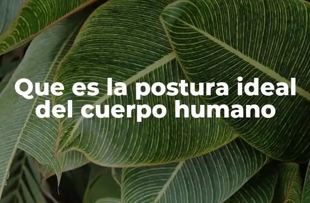 El equilibrio anatómico y su importancia en la salud