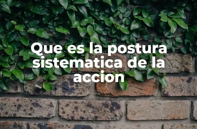 Que es la Postura Sistematica de la Accion
