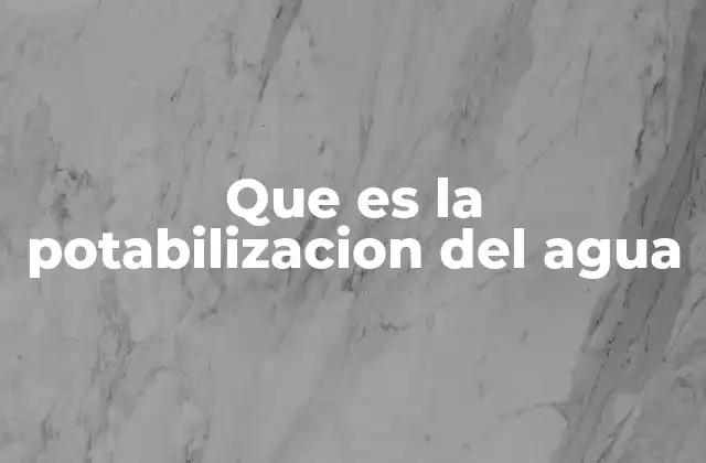Que es la Potabilizacion Del Agua