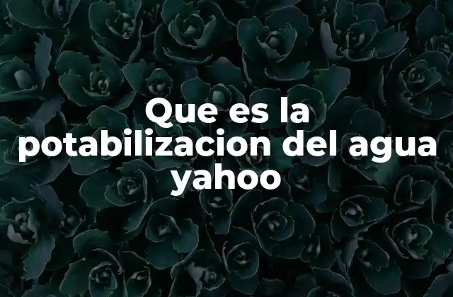 Que es la Potabilizacion Del Agua Yahoo 2 El papel de la potabilización en la seguridad hídrica