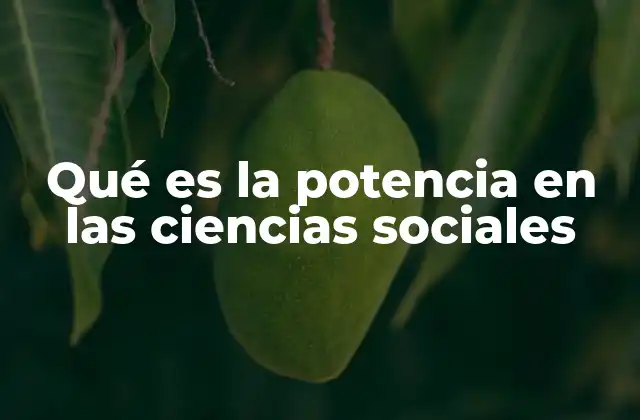 Qué es la Potencia en las Ciencias Sociales