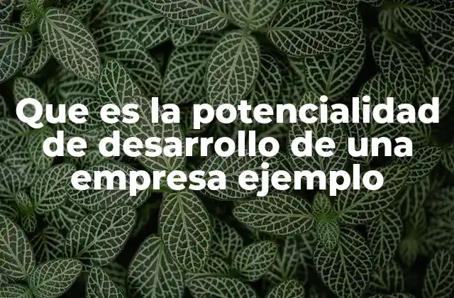 Que es la Potencialidad de Desarrollo de una Empresa Ejemplo