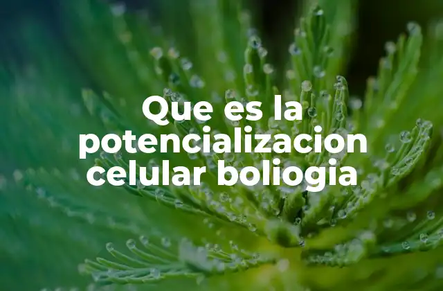 Que es la Potencializacion Celular Boliogia 2 El papel de las membranas celulares en la generación de voltaje