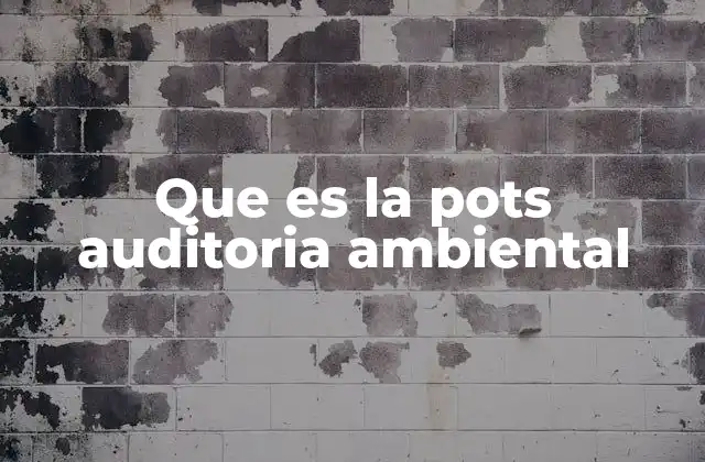 Que es la Pots Auditoria Ambiental 2 El rol de la auditoría ambiental en la gestión empresarial