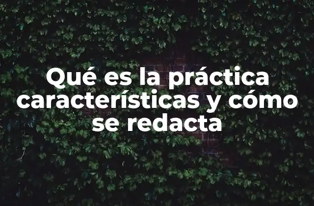 Qué es la Práctica Características y Cómo Se Redacta