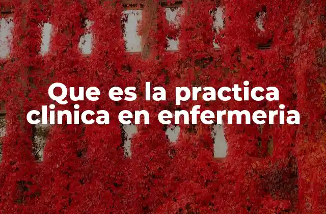 Que es la Practica Clinica en Enfermeria