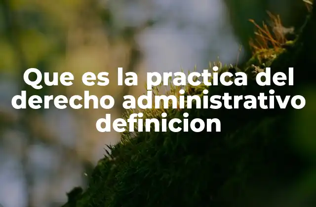 Que es la Practica Del Derecho Administrativo Definicion