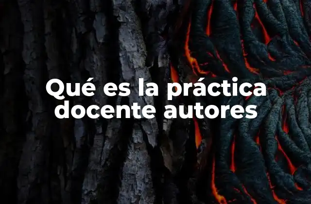 Qué es la Práctica Docente Autores