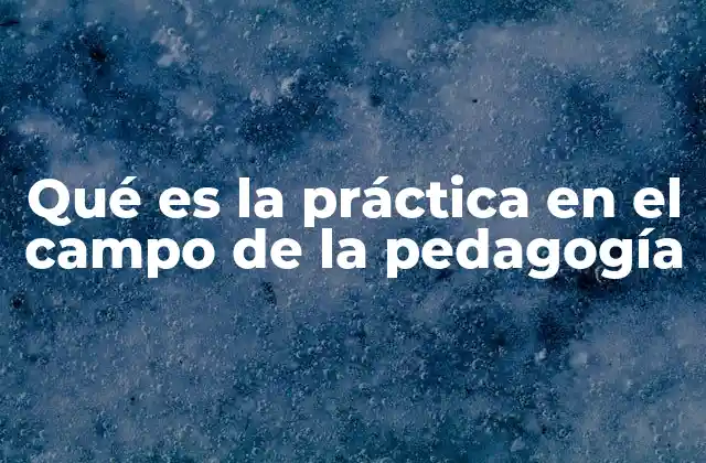 Qué es la Práctica en el Campo de la Pedagogía