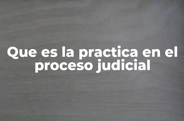 Que es la Practica en el Proceso Judicial 2 El rol de las prácticas en la administración de justicia