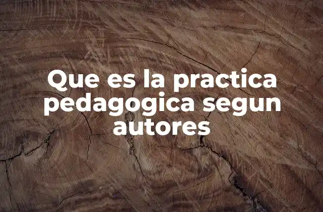 Que es la Practica Pedagogica Segun Autores