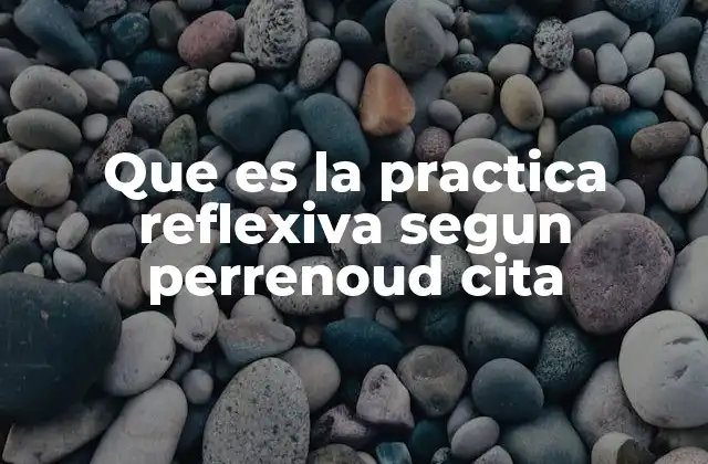 Que es la Practica Reflexiva Segun Perrenoud Cita