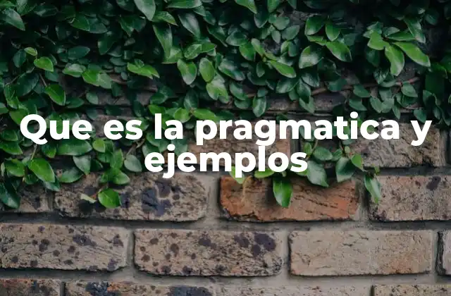 Que es la Pragmatica y Ejemplos
