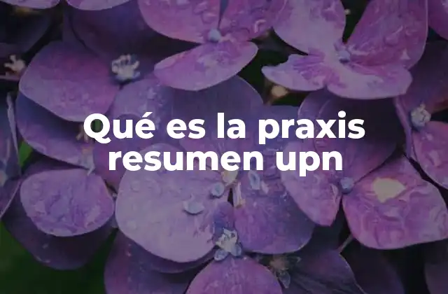 Qué es la Praxis Resumen Upn