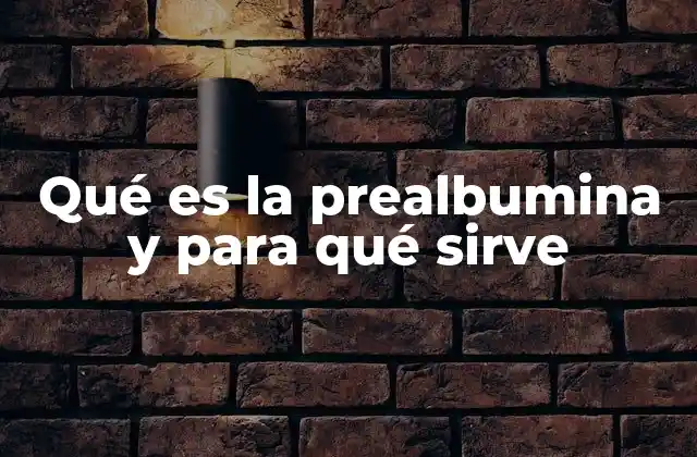 Qué es la Prealbumina y para Qué Sirve 2 El papel de las proteínas plasmáticas en la salud