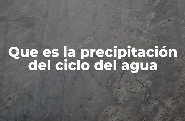 Que es la Precipitación Del Ciclo Del Agua