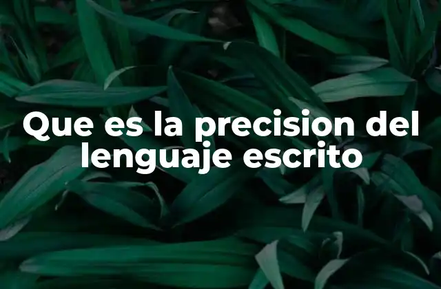 Que es la Precision Del Lenguaje Escrito