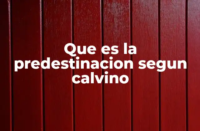 Que es la Predestinacion Segun Calvino