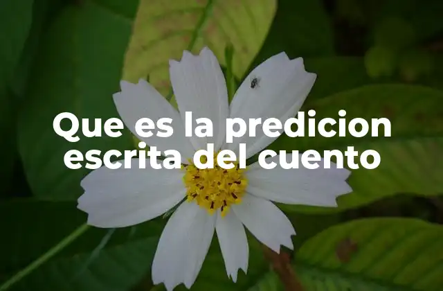 Que es la Predicion Escrita Del Cuento 2 La importancia de anticipar en la narrativa