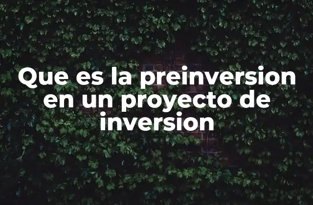 Que es la Preinversion en un Proyecto de Inversion