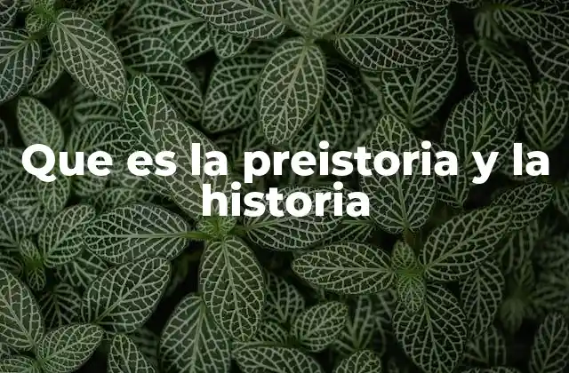 Que es la Preistoria y la Historia