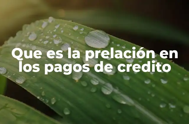 Que es la Prelación en los Pagos de Credito
