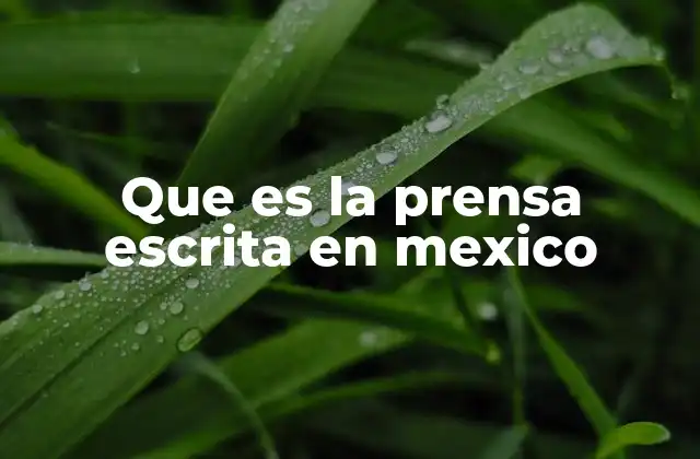 Que es la Prensa Escrita en Mexico