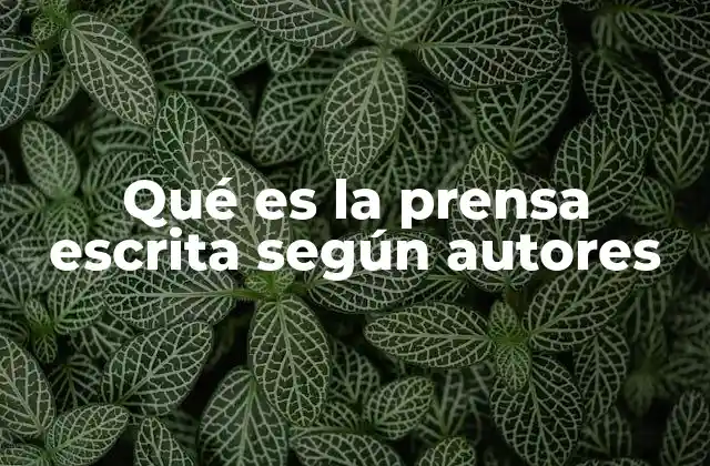 Qué es la Prensa Escrita según Autores