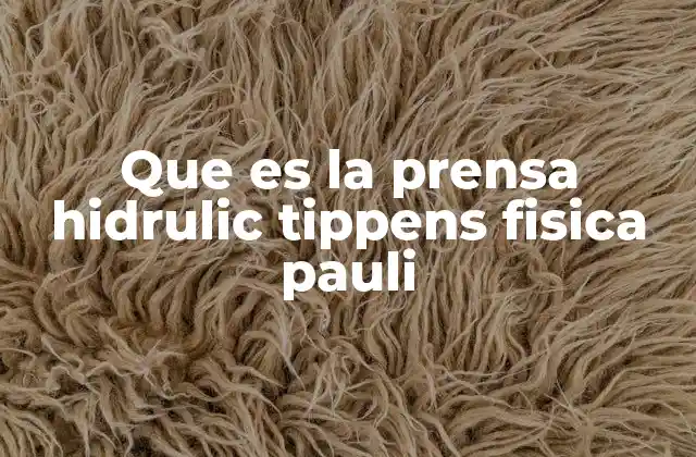 Que es la Prensa Hidrulic Tippens Fisica Pauli