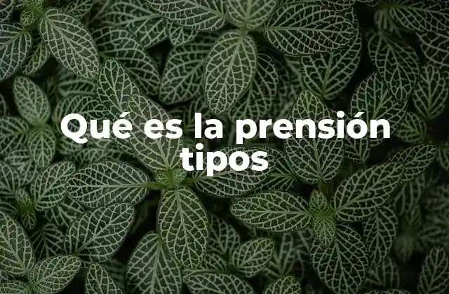 Qué es la Prensión Tipos