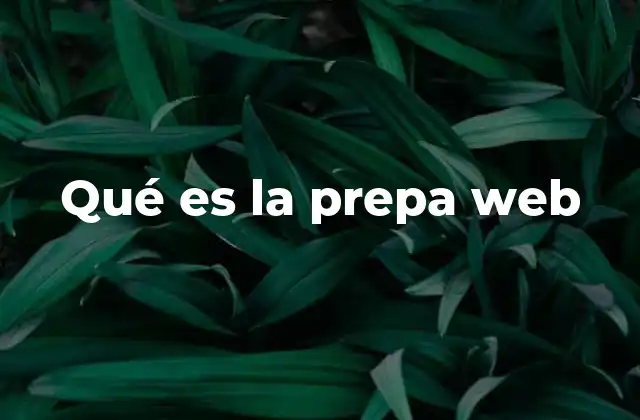 Qué es la Prepa Web