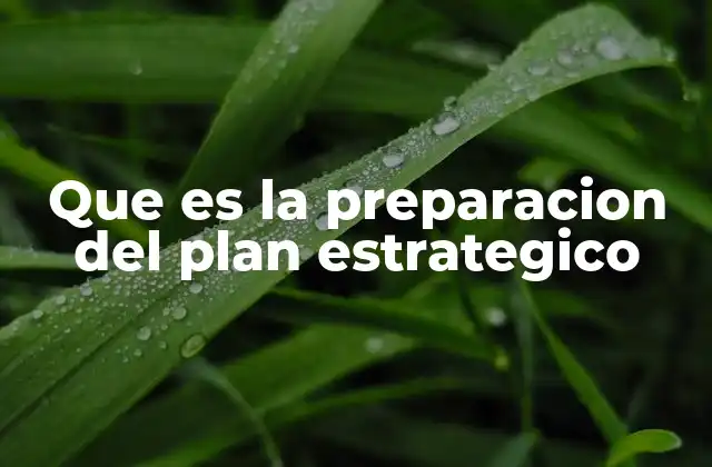 Que es la Preparacion Del Plan Estrategico