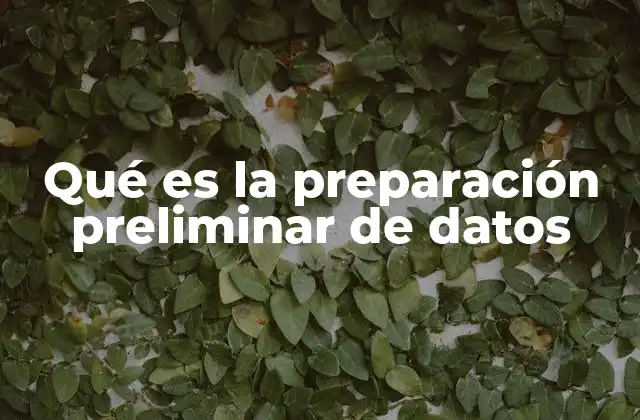 Qué es la Preparación Preliminar de Datos