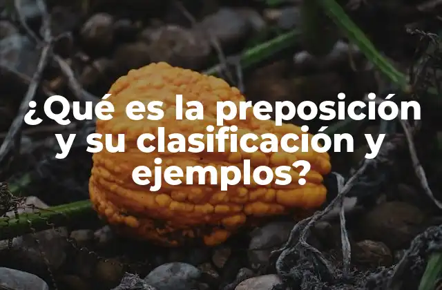 ¿qué es la Preposición y Su Clasificación y Ejemplos?