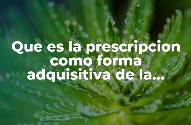 Que es la Prescripcion como Forma Adquisitiva de la Propiedad