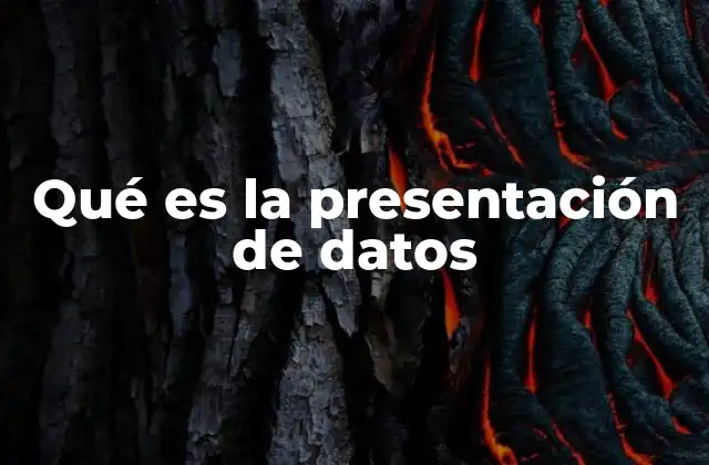 Qué es la Presentación de Datos